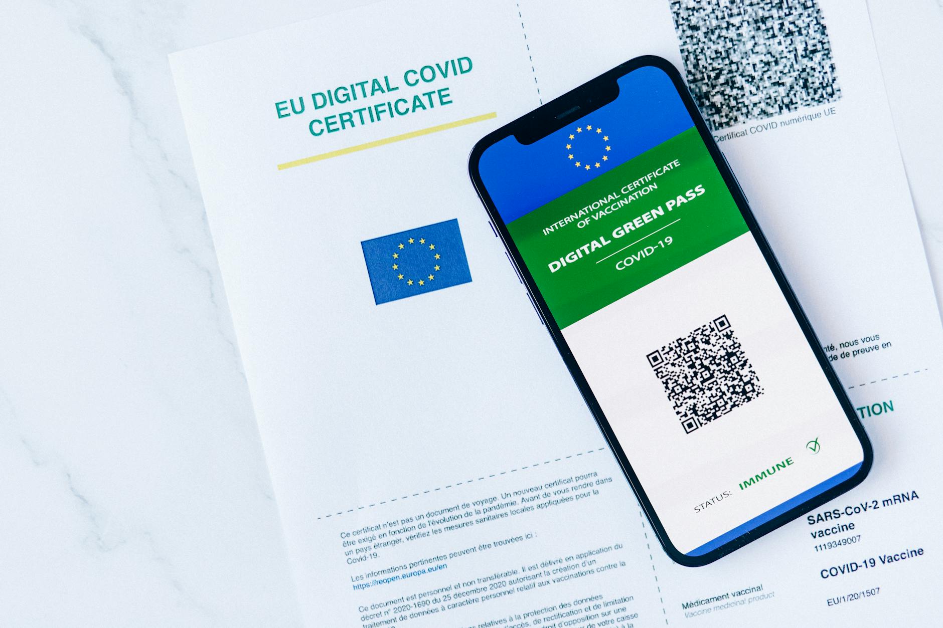 Wie bekommst du ein SSL-Zertifikat kostenlos? [2024]